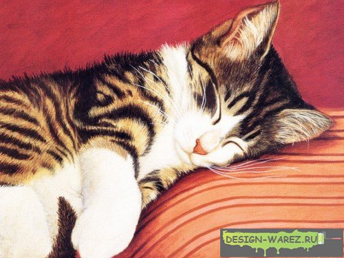 1240393870_1238448383_pic_id28460