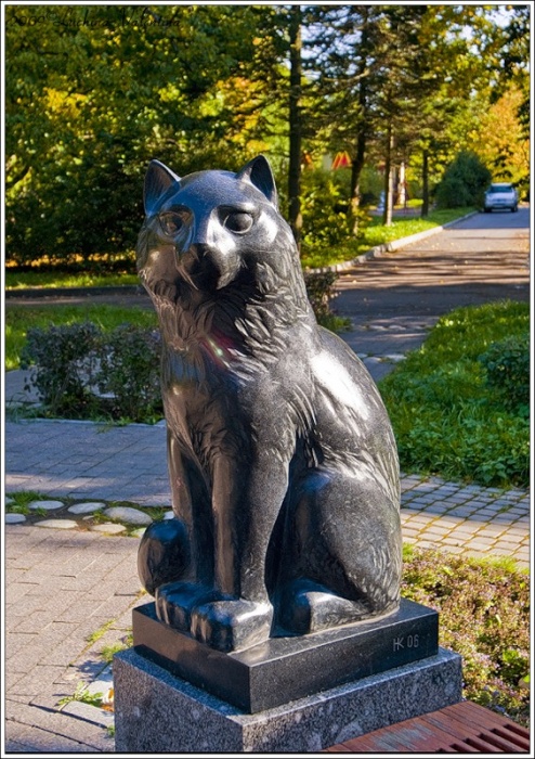 Коты в Петродворце (фрагмент)