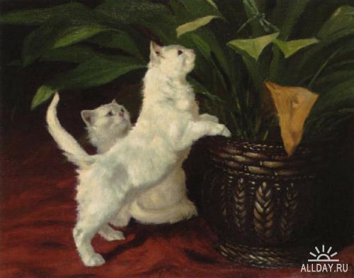 1264070580_curiosity