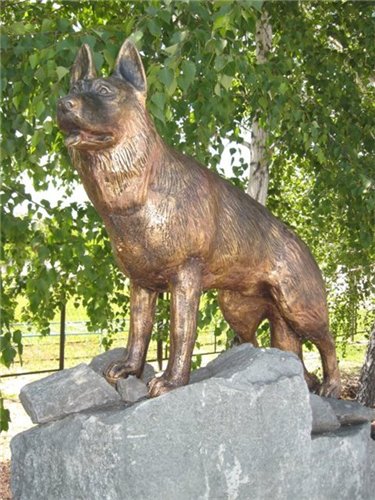 Новосибирск _ Памятник собаке