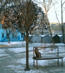 Барнаул. Скульптурная композиция. Дерево, скамья, кошка