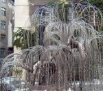 Венгрия. Будапешт. Синагога. Плакучая ива. Погибшим евреям.