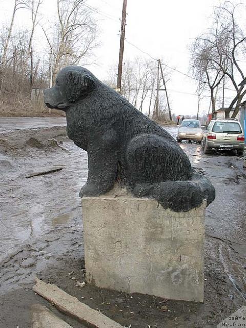 Памятник ньюфаундленду_ Россия. Пермь.
