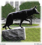 Нью- Йорк, Лонг Айлэнд, памятник служебным собакам