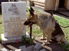 НОВОСИБИРСК. ПАМЯТНИК ОВЧАРКЕ ДЭЗИ, СПАСШЕЙ ЖИЗНЬ ЕФРЕЙТОРУ ЕВГЕНИЮ ЗАЙЦЕВУ ВО ВРЕМЯ СЛУЖБЫ В ЧЕЧНЕ
