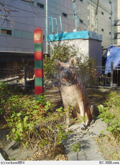 памятник собаке Индусу находится во Владивостоке
