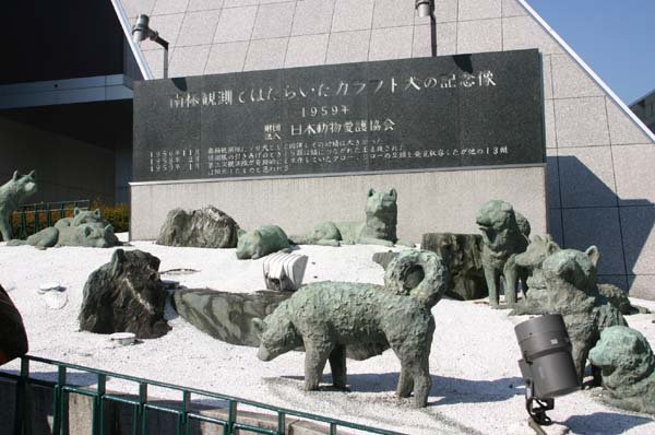 Памятник ездовым собакам,оставленным на японской антарктической станции Сёва_Токио