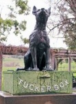 Австралия Собака на сундуке в нескольких километрах от города Гандагай на шоссе, идущем в Сидней, появилась в 1932 г.