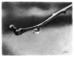 linda-huber-pencil-art-38