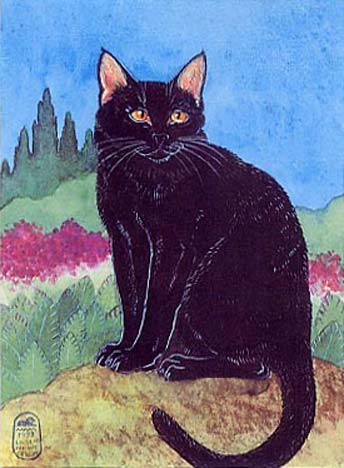 moggie1full