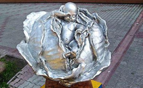 Томск_ младенец в капусте