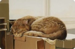celiapikepaintings-1