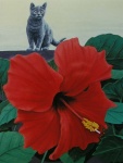 compr_25_la_fleur_de_l_hibiscus_67x54cm_1995