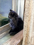 kitten_in_window
