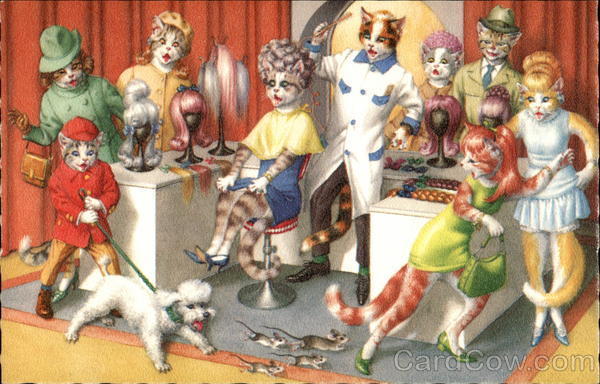 card00654_fr