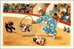 dressed_circus_cats_perform