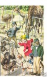Mainzer_postcard_Dressed_cats_at_zoo_Giraffes_monkies