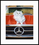 catmandrew_2111_187764051