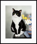 catmandrew_2111_174451095