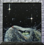 Загадочные миры