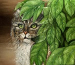 Маленький тигр