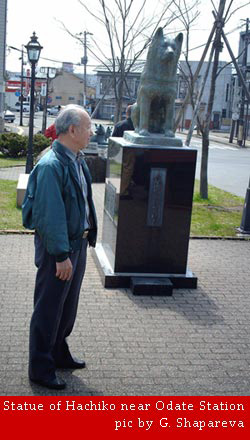 статуя Хатико возле станции Одате