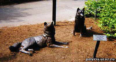 Памятник Того и Балто у Cleveland Metroparks Zoo (Кливленд)