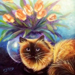 Tulip_Himalayan_by_carefulwhatyawishfor