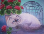 27513878_1213899913_Tortie_Pt_Himalayan_Garden_Cat_by_carefulwhatyawishfor1